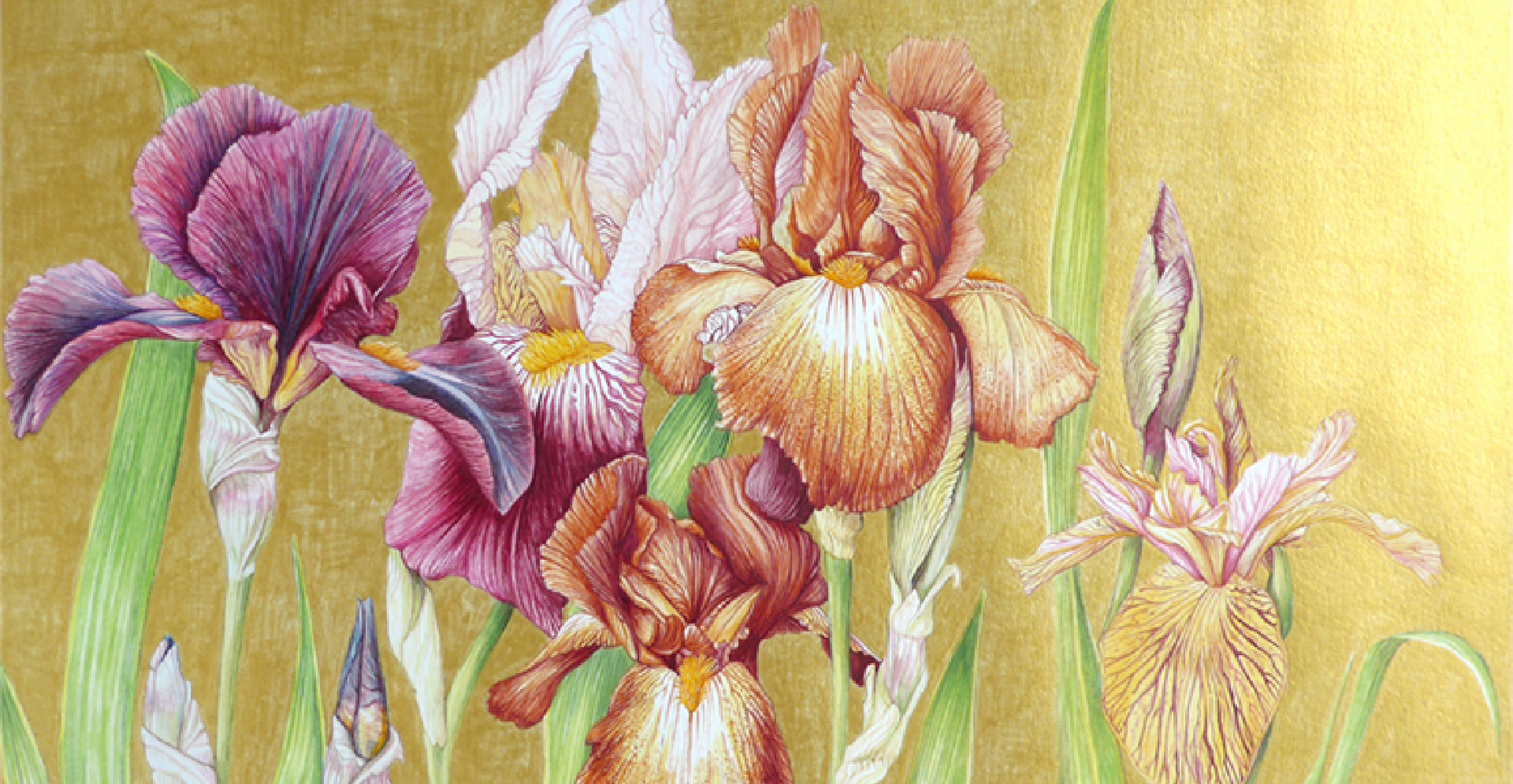 Caroline Jamfrey Artwork