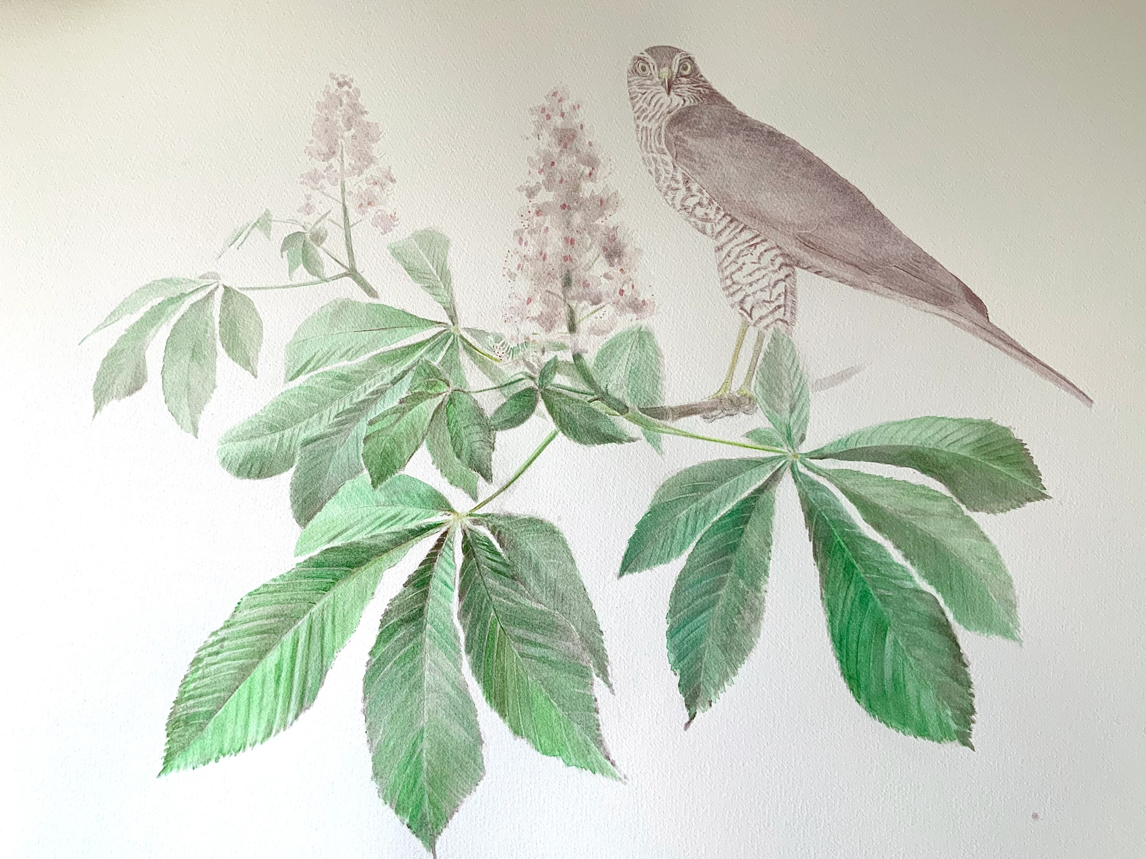 Joanna Logan Artwork