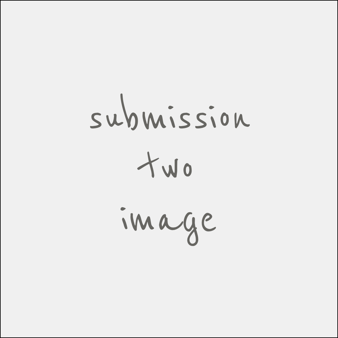 submissionImage2.png