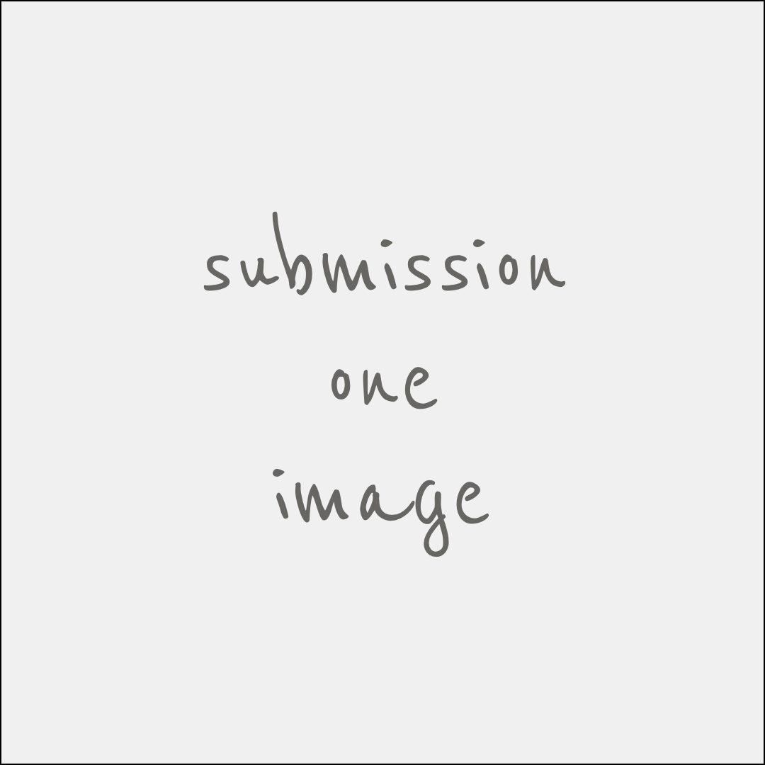 submissionImage1.png