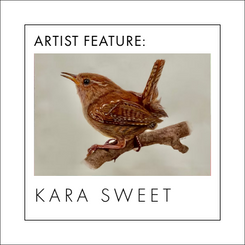 ARTIST FEATURE - KARA SWEET