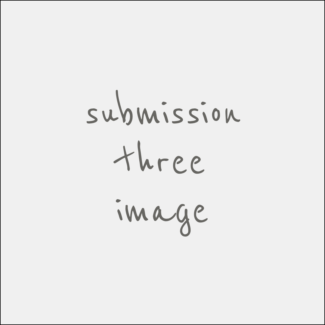 submissionImage3.png