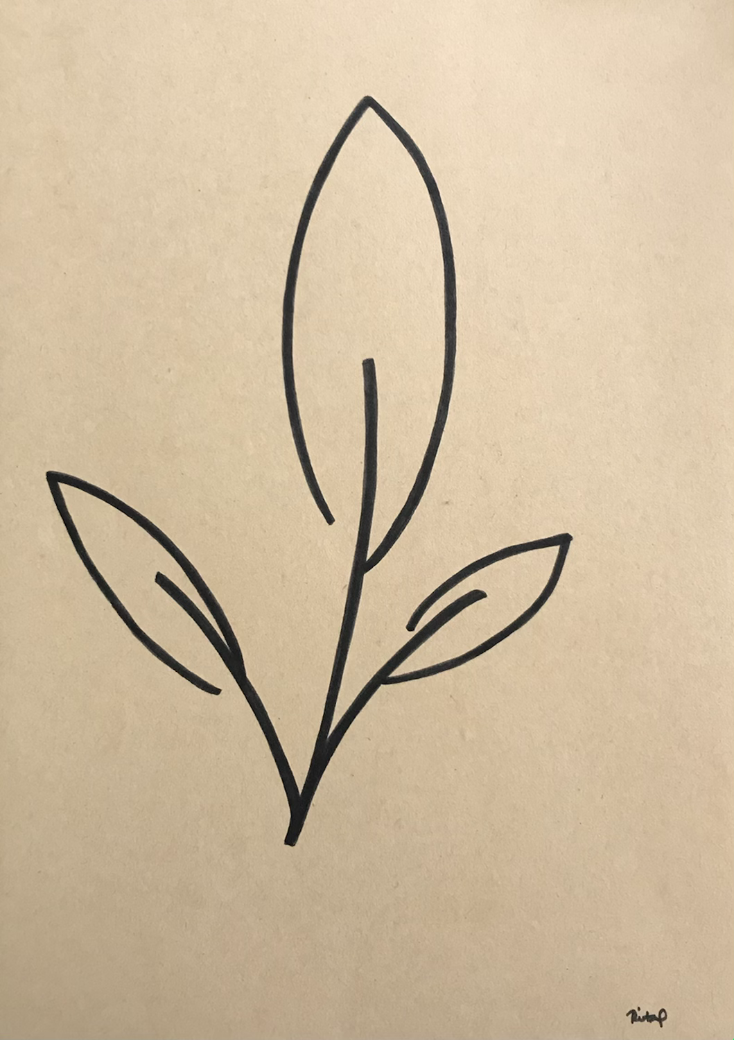 Projeto Natureza - edição especial 