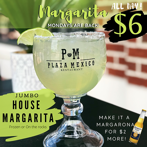 Margarita (1).PNG