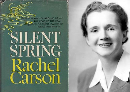 rachel_carson_carson_photo_national_digital_library_of_the_united_states_fish_and_wildlife