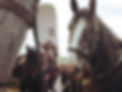 IMG_1258.jpeg