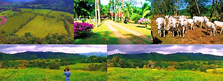 Costa Rica | 167-Hectare Cattle Farm