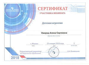 вебинар.jpeg