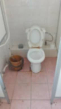 scale_1200 (2).webp