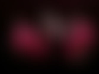 "Ensemble Español Spanish Dance Theater” de Chicago