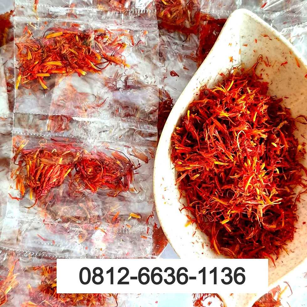 Jual Kasumba Bugis di Makassar