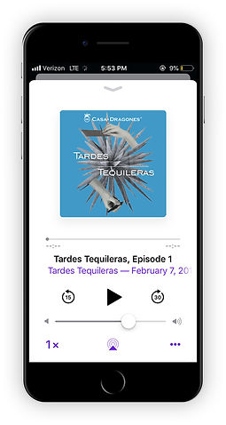 podcast mobile mockup.jpg