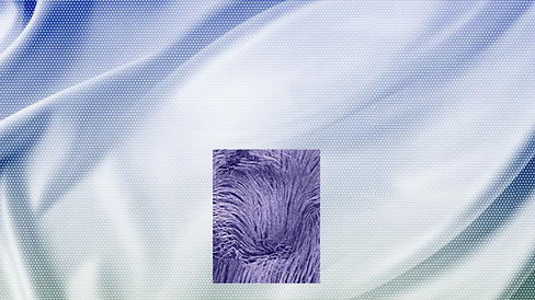 FIANL (0;00;01;22).png