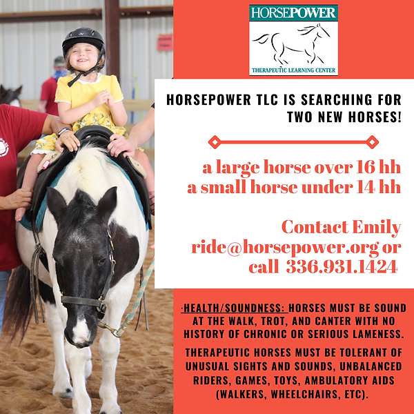 searching for horses (1).png