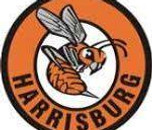 Harrisburg Hornets.jpeg