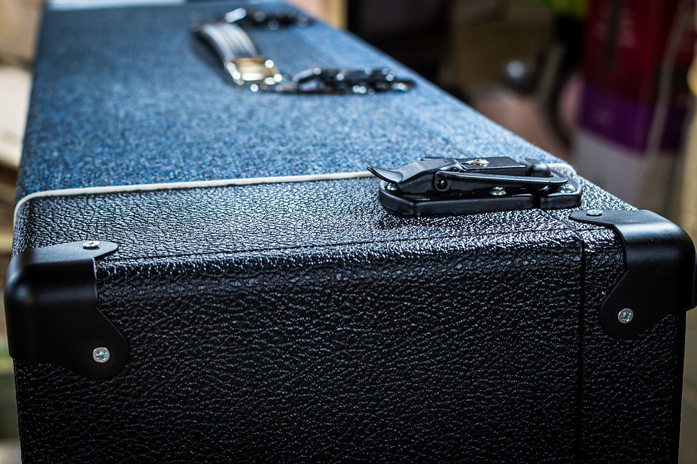 Ash Hardwood Pedalboard Hardcase / Flightcase