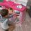 Thumbnail: Step2 Fun with Friends Kids Kitchen