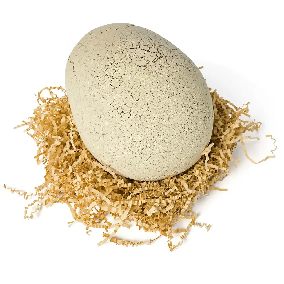 Thumbnail: Jurassic World Primal Hatch T-Rex Interactive Dinosaur