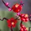 Thumbnail: LEGO 10369 Icons Plum Blossom