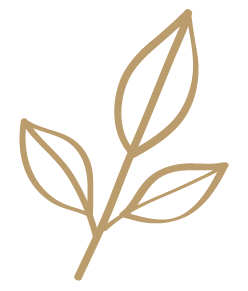 HOJA2.gif