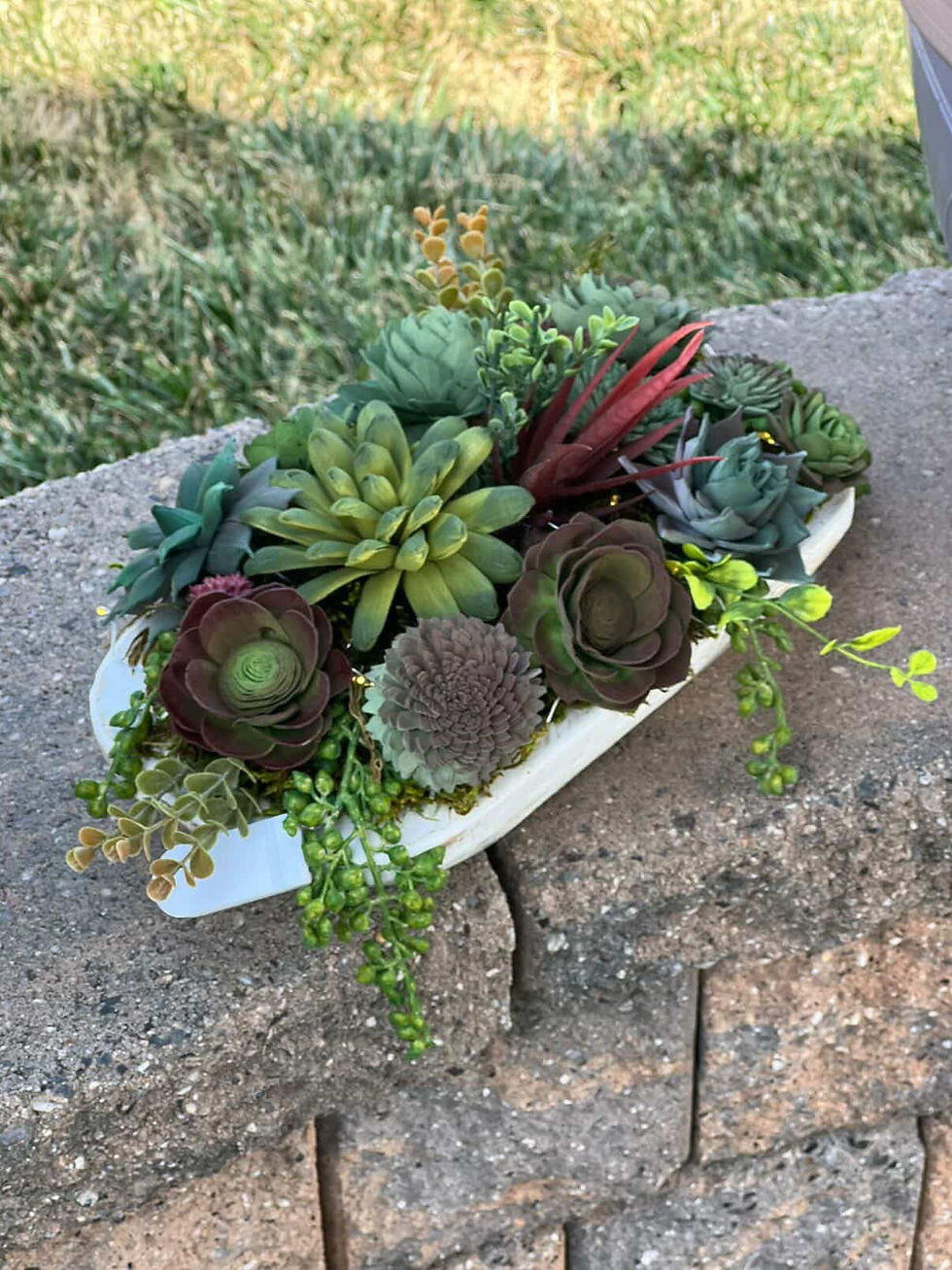 Sips and Succulents