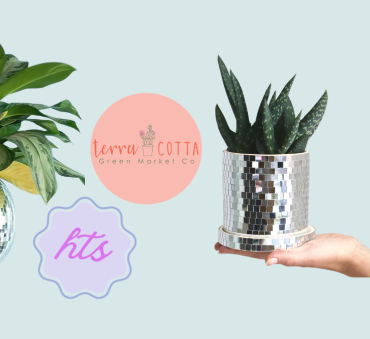 Disco Ball Planters