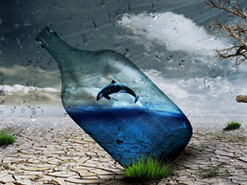 ¿Has experimentado alguna vez el estado de flow?