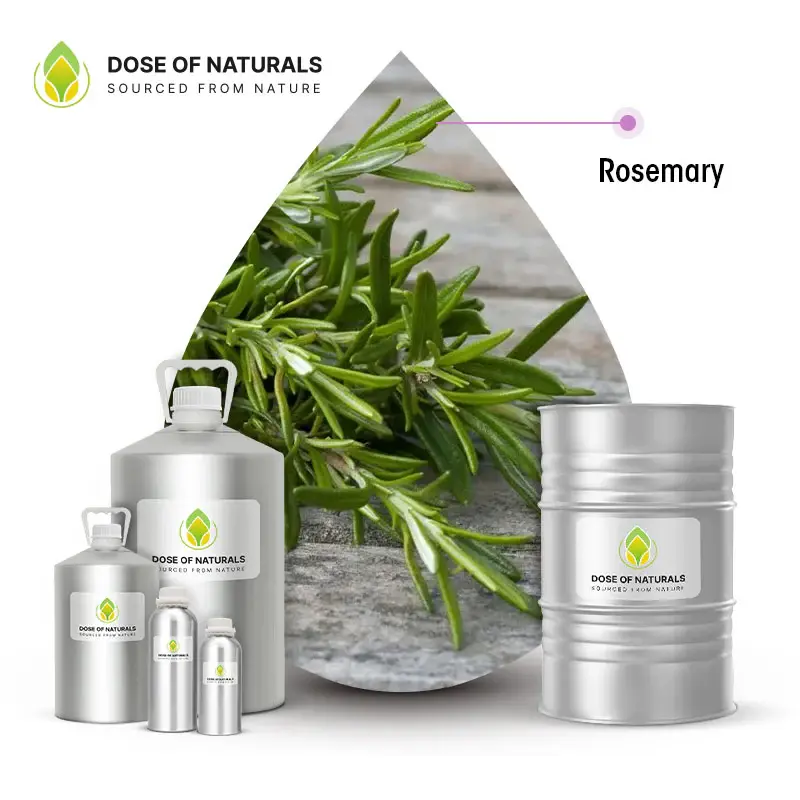 Rosemary Oil Manufacturers Quality, Purity, and Reliable Natural Oil Solutions