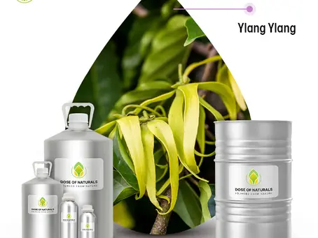 Best Ylang Ylang Oil Manufacturers for Cosmetic and Skincare Brands