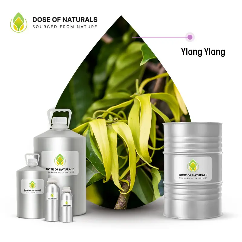 Best Ylang Ylang Oil Manufacturers for Cosmetic and Skincare Brands