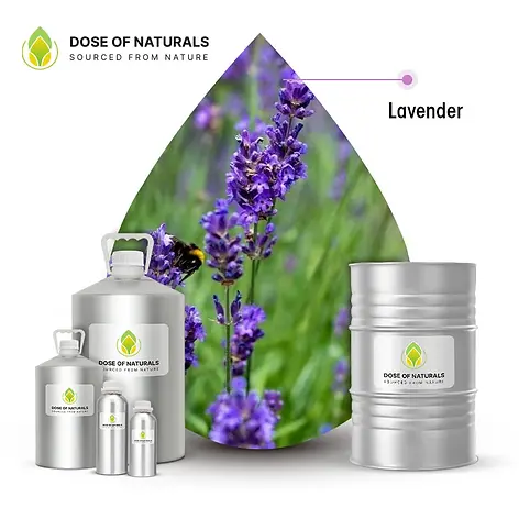 Lavender Oil.webp