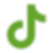 tiktok.png