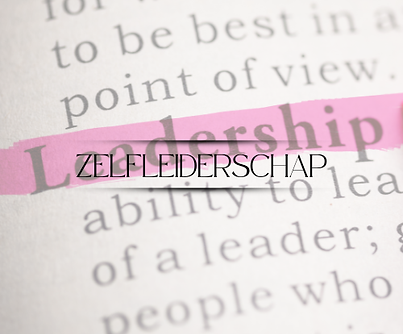 zelfleiderschap.png