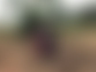 Prefeito Gilson visita agricultores atendidos pelas máquinas do município