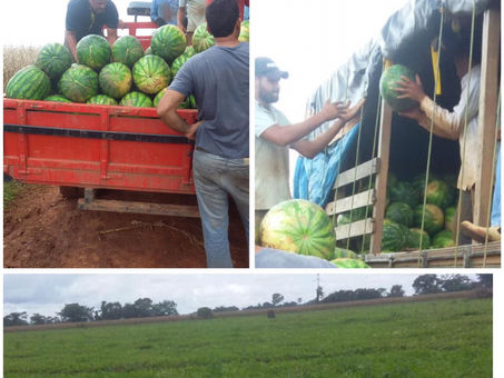 Prefeitura de Senador Guiomard apoia o homem do campo
