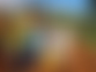 Prefeito Gilson visitou áreas rurais que já receberam apoio de maquinário do município