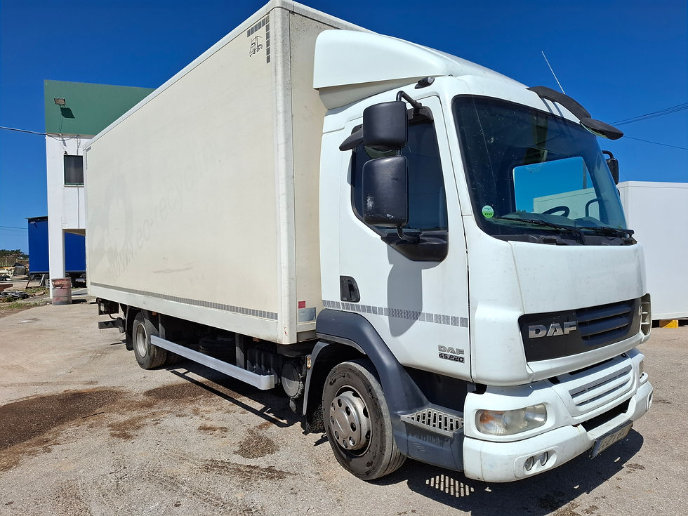 DAF LF45.220