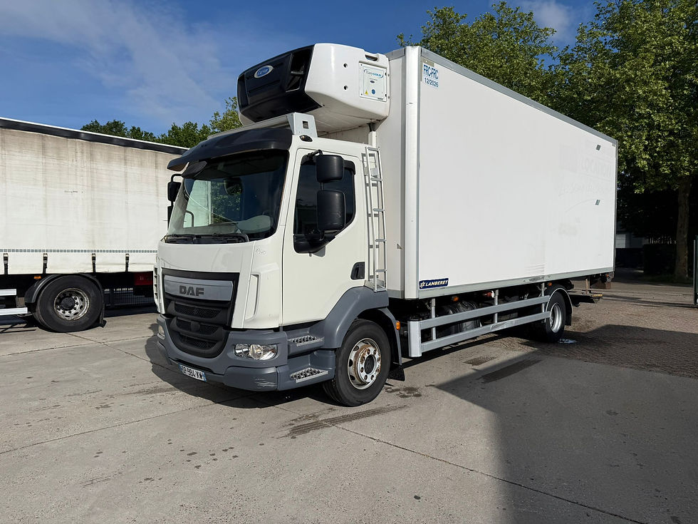 DAF LF 14.220