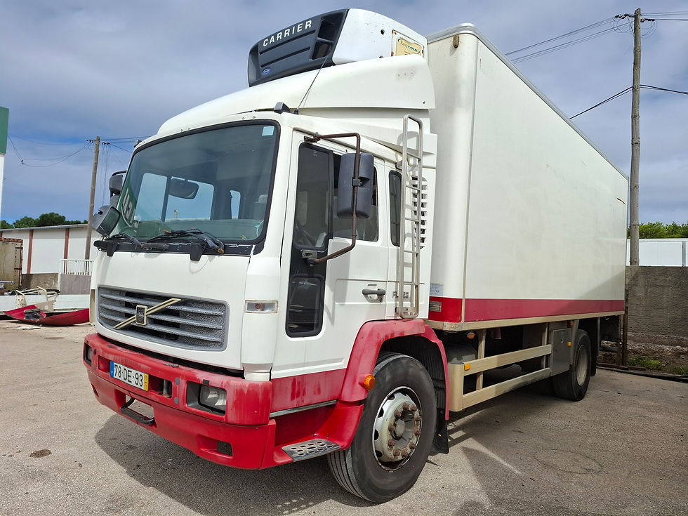 VOLVO FL618