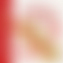 【EVENT】今年最後の運試し!福引LINEクーポン抽選会開催✨