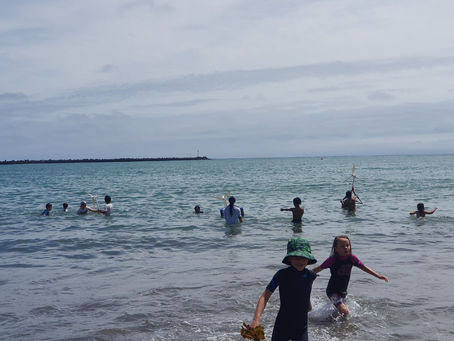 Atlas Professionals NZ 🇳🇿