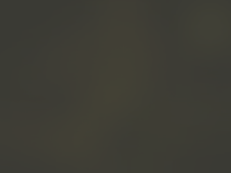 Warum reale Qualität wirtschaftlich unter Wert bleibt