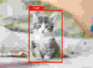 Object detection example detecting a cat (Original cat Photo by Kote Puerto on Unsplash)