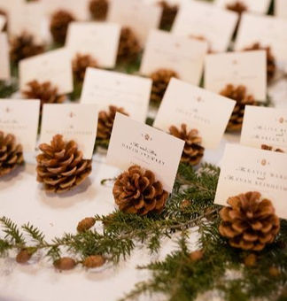 Wedding Inspo