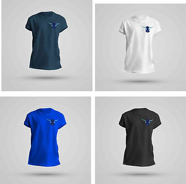 IceHouse_ShirtMockUps_1.jpg