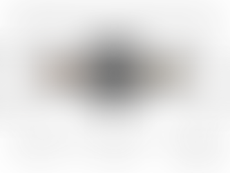 AI IN THE CORPORATE LANDSCAPE: LEGISLATION, TRANSACTIONS, AND STRATEGY - A Comprehensive Guide for Legal Practitioners, Corporate Officers, and Transaction Counsel