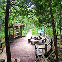 the-boardwalk-and-rest.jpg
