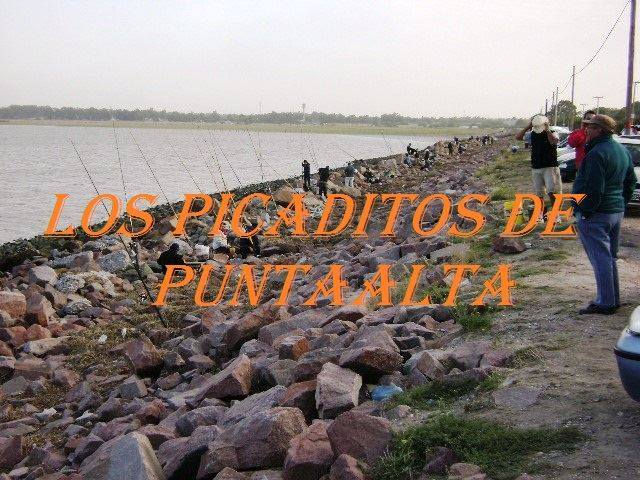 picaditos.jpg