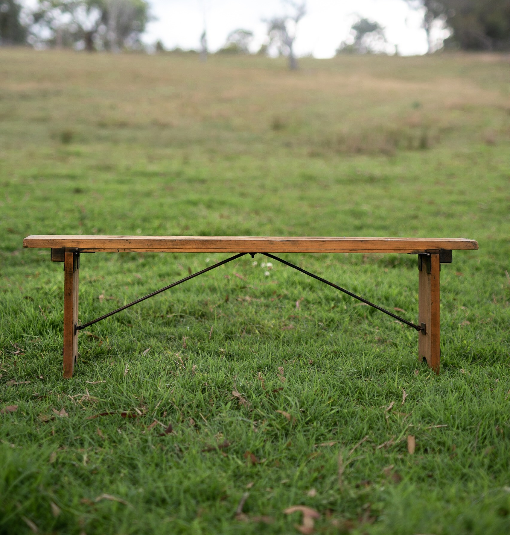 Timber Bench seats