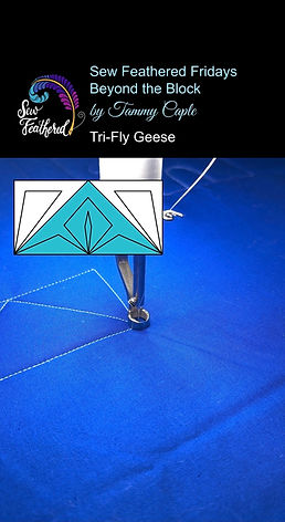 Tri-Fly Geese